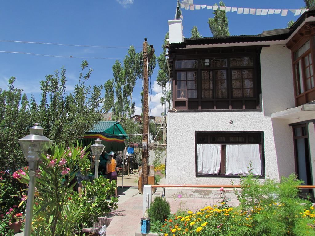 Ashoka Ladakh Hotel Leh Bagian luar foto